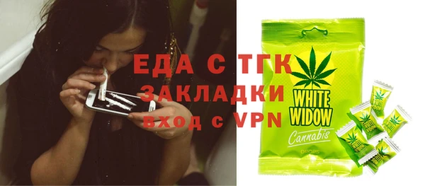 индика Вяземский