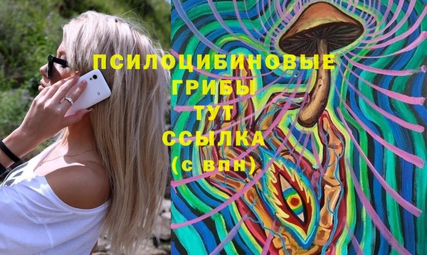 a pvp Горнозаводск