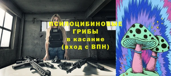 спиды Алексеевка
