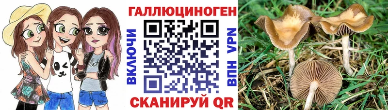 ссылка на мегу ссылки  Симферополь  Галлюциногенные грибы Cubensis  цена наркотик 