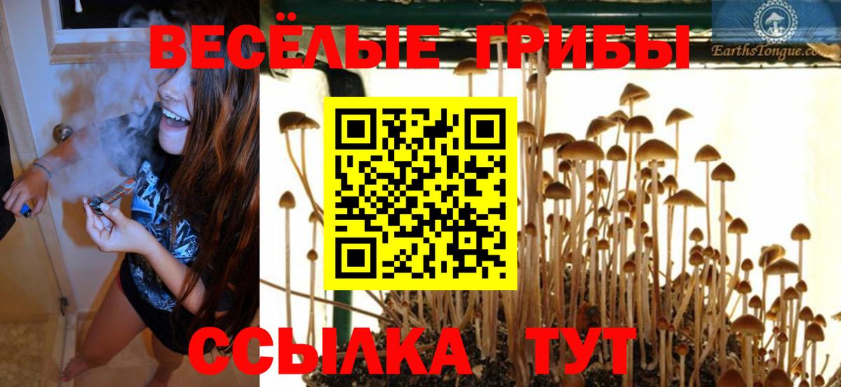 Псилоцибиновые грибы GOLDEN TEACHER Симферополь