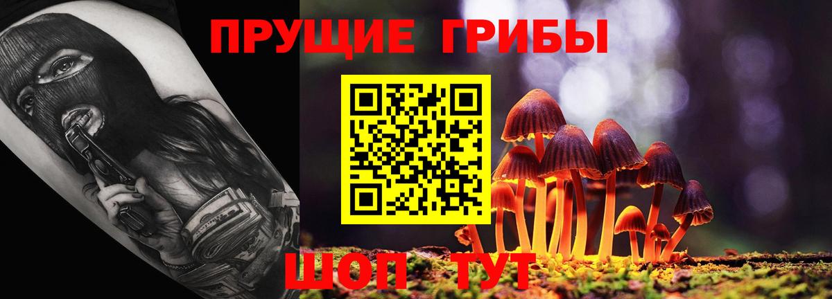Симферополь  Галлюциногенные грибы Psilocybe  Вход с VPN 